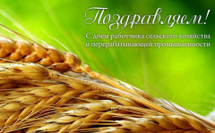 Поздравление Главы городского округа Сухой Лог Романа Валова с Днем работника сельского хозяйства и перерабатывающей промышленности Поздравление Главы городского округа Сухой Лог Романа Валова с Днем работника сельского хозяйства и перерабатывающей промышленности