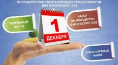 1 декабря - срок уплаты имущественных налогов